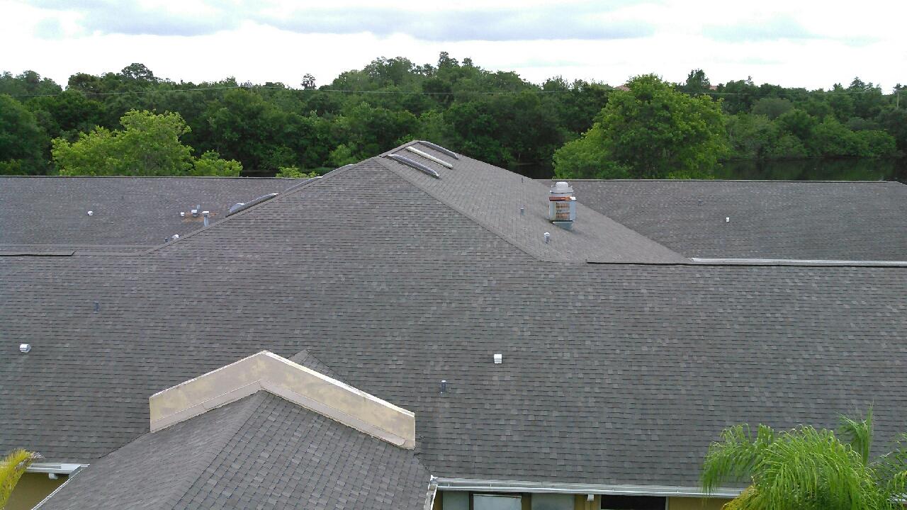 Brandon Roof Repair By Jdcontractors (813) 422 2019